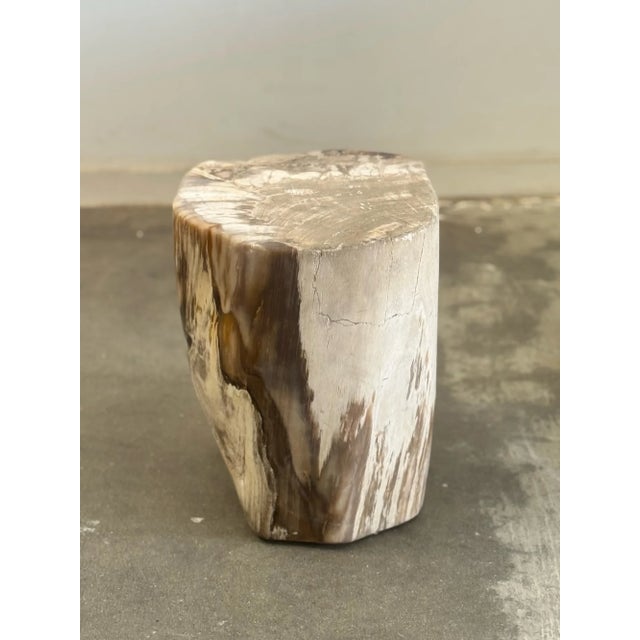 White Petrified Stool - Single For Sale - Image 8 of 17