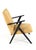 De Lier Lounge Chair For Sale - Image 12 of 16