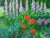 2020s Garden Color by Anne Carrozza Remick For Sale - Image 5 of 6