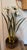 Mid 20th Century Vintage Mid-Century White Tole Narcissus Floral Arrangement Botanical Paperwhites Sculpture Circa 1950s For Sale - Image 5 of 11