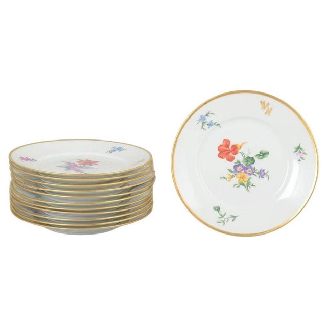 1930s Porcelain Plates with Floral Motifs from Rosenthal, 1930s, Set of 12 For Sale - Image 5 of 5