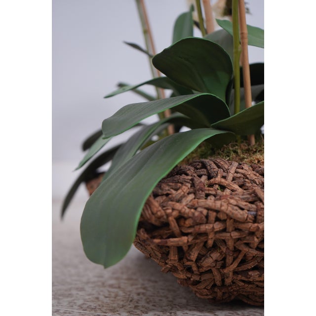 White Large Silk Flower Mother Orchid in Woven Basket For Sale - Image 8 of 11