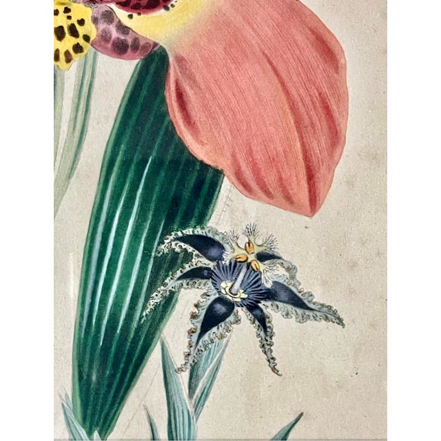 19th Century 19th C. English Floral Bookplate in Silver Gilt Frame For Sale - Image 5 of 7