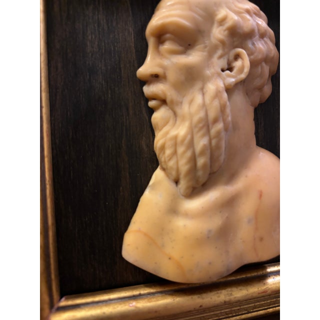 Stone Early 19th Century Italian Grand Tour Siena Marble Relief Portrait of the Ancient Greek Philosopher Socrates For Sale - Image 7 of 12