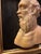 Stone Early 19th Century Italian Grand Tour Siena Marble Relief Portrait of the Ancient Greek Philosopher Socrates For Sale - Image 7 of 12
