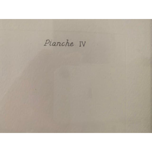 Wood Large Contemporary Chinoiserie Urn Prints, Framed - a Pair For Sale - Image 7 of 11