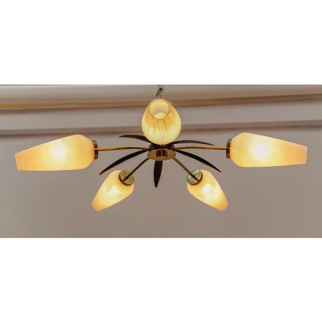 Metal Mid-Century Modern 5-Armed Brass and Glass Sputnik Lamp, 1950s For Sale - Image 7 of 13