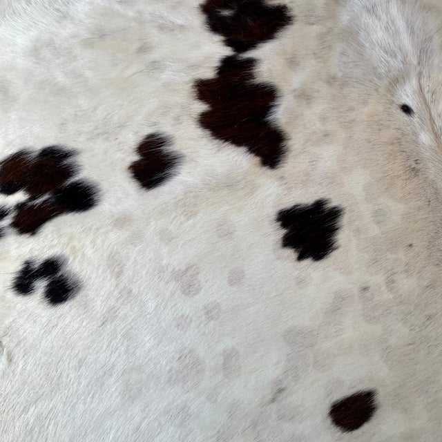 2000 - 2009 Natural Brazilian Black and White Cowhide Rug 76" X 86" For Sale - Image 5 of 6