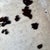 2000 - 2009 Natural Brazilian Black and White Cowhide Rug 76" X 86" For Sale - Image 5 of 6