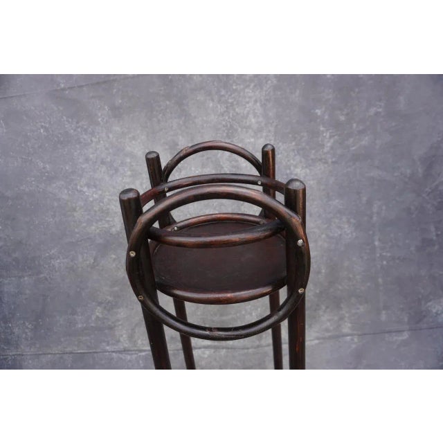 Wood Thonet Bentwood Vienna Secession Style Plant Stand 1900-1909 For Sale - Image 7 of 9