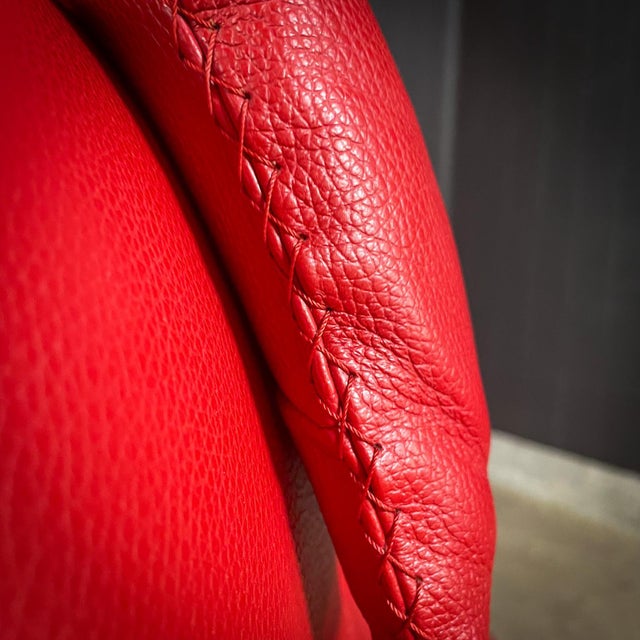 Animal Skin Swiss DS-51 Armchair from De Sede For Sale - Image 7 of 18