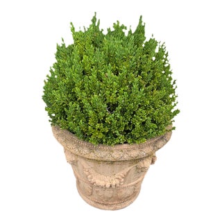Classic Tuscan Terracotta Planter With Embossed Decoration For Sale