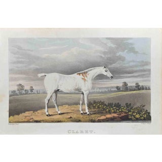 James Barenger, Claret, Etching, 1822 For Sale