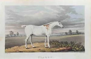James Barenger, Claret, Etching, 1822