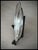 1950s Antique Silver Plate Platter Diplomat Hotel Miami 10” For Sale - Image 5 of 12