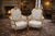 1970 French Louis XVI Gold Beech Damask Bergères - Pair For Sale - Image 11 of 14