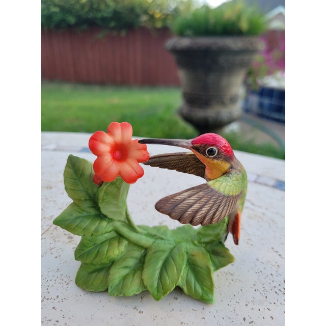 Bronson Collectibles - Hummingbird Collection of Seven For Sale - Image 4 of 12