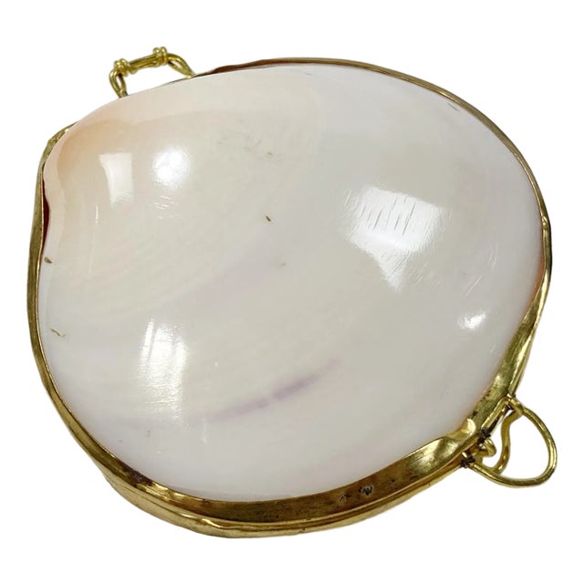 Vintage Pearlized Clam Shell Trinket Box For Sale