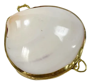 Vintage Pearlized Clam Shell Trinket Box