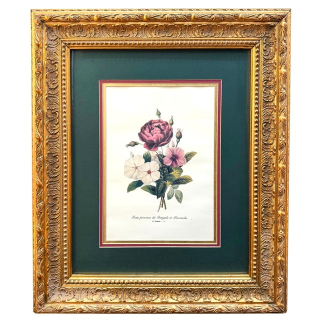 This curated set of three large-scale French botanical prints features the iconic work of Pierre-Joseph Redouté, the most...