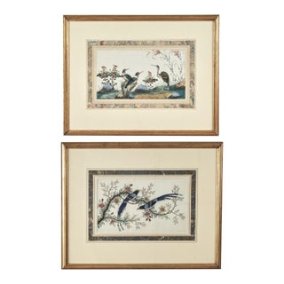 Pair of Antique Chinese Pith Paintings of Birds For Sale