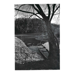 1976 North Carolina New River Landscape Photograph