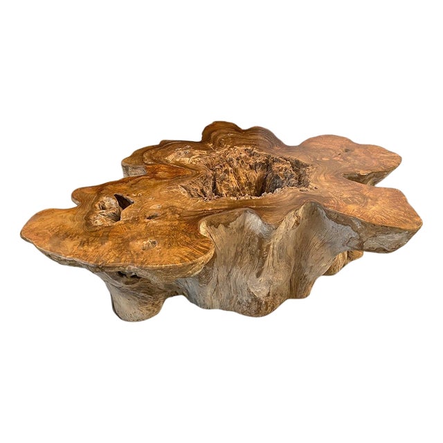 Andrianna Shamaris Impressive Organic Teak Wood Coffee Table For Sale