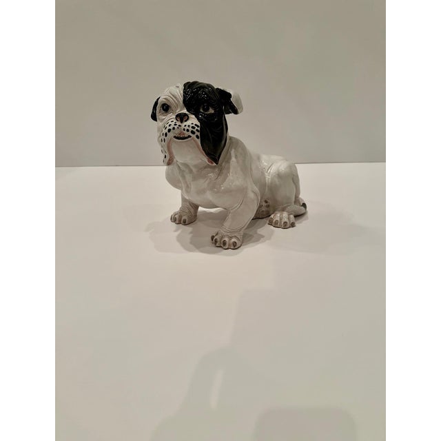 Terracotta Italian Black and White Bulldog Sculpture For Sale In Philadelphia - Image 6 of 12