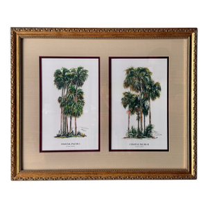 Coastal Palms by Dawn Caldwell Print