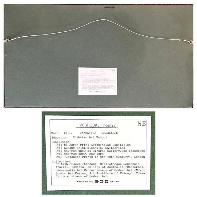 Wood "Running Ostrich" Japanese Woodblock Print by Yoshida Toshi Circa 1984 For Sale - Image 7 of 8