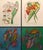 Impressionist Mikail Chemiakin "Untitled"flowers Hand Signed Lithograph on Paper Custom Framed For Sale - Image 3 of 7