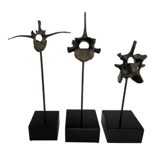 Oly Studio Brass Vertebrae Collection, Set of 3 For Sale