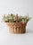 A vintage wicker gathering basket with a softly flared silhouette and a rounded handle, offering both function and...