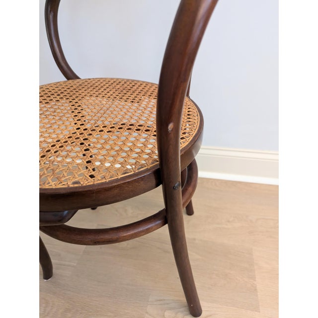 Vintage Gerdau Bentwood Chair Caviuna Wood & Cane Seat in the Style of Thonet For Sale - Image 12 of 14