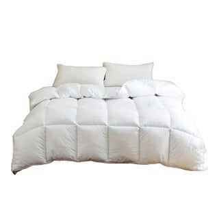 Hotel Luxe Summer Weight European Goose Down Duvet with Cotton Shell, Twin For Sale