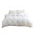 Hotel Luxe Summer Weight European Goose Down Duvet with Cotton Shell, Twin For Sale