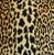 Mid-Century Modern Leopard Spot Safari Velvet Feather/Down Pillow 22" Square For Sale - Image 3 of 6