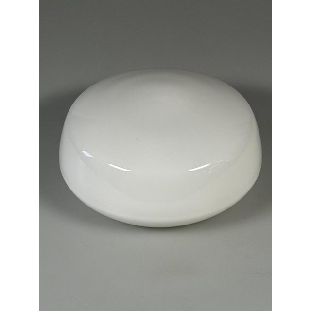 Metal Mid-Century Ceiling Light in Frosted Glass from RZB, 1960s For Sale - Image 7 of 15