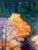 Steve Schaaf Contemporary Autumn Reflection For Sale In San Francisco - Image 6 of 10