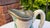 Metal Pre-War Ceramic Beer Mug with Eagle-Head Handle For Sale - Image 7 of 10