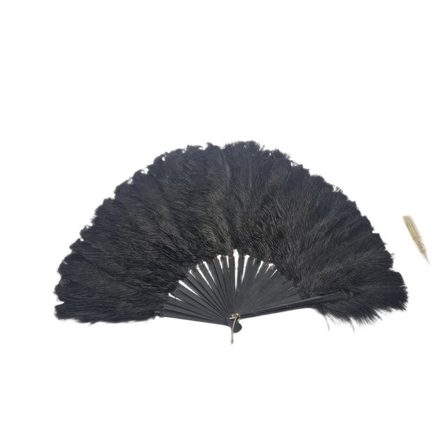 Art Deco Polish Autriche Feather Fan, 1920s For Sale - Image 9 of 16