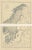 Antique Map of Sweden and Norway by Lowry, 1852, Set of 2 For Sale