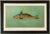 American Fish 25 the Kingfish by Harris CFA Edition Giclee Print For Sale