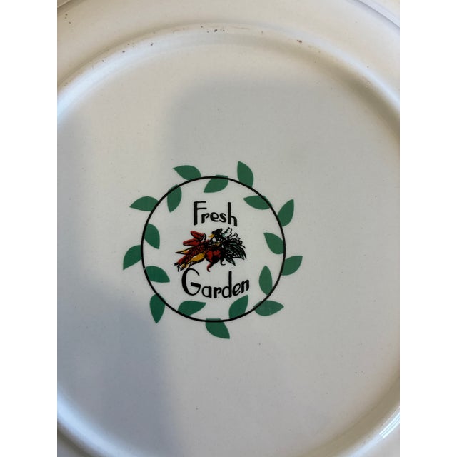 Vintage Fresh Garden Vegetable Motif Dinner Plates - Set of 4 For Sale - Image 11 of 11
