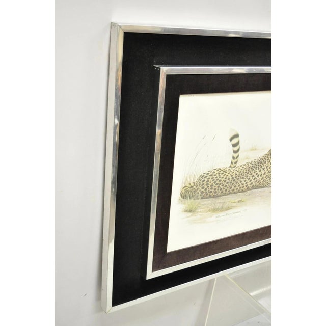 1972 Cheetah Lithograph Art by Richard Evans Younger in Velvet Chrome Frame For Sale - Image 9 of 12