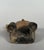 Sculpture of Chieftain, Colombia, 500-1500 AD For Sale - Image 3 of 7
