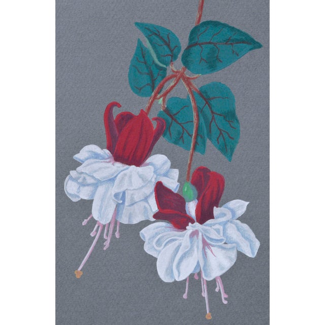Realism Vintage Red and White Fuchsia by Barbara Gibson For Sale - Image 3 of 5