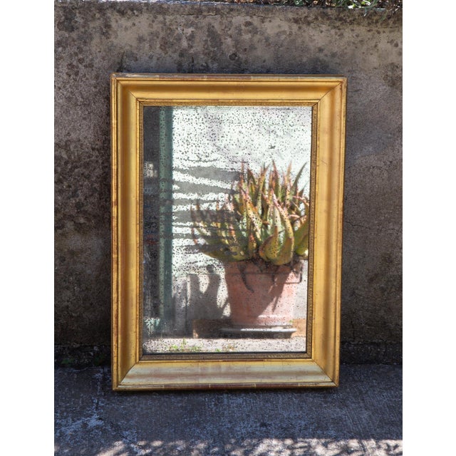 Antique Louis Philippe Rectangular Gilt Wood and Mercury Glass Mirror, 1830s For Sale - Image 9 of 9