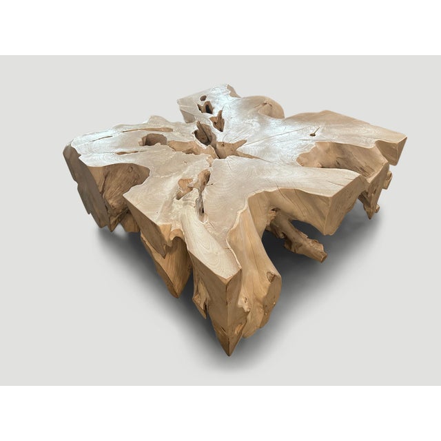 Andrianna Shamaris Organic Bleached Teak Wood Coffee Table For Sale - Image 17 of 18