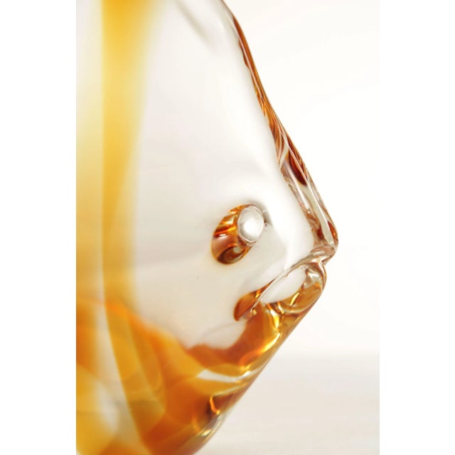 Figurative Mid 20th Century Murano Style Glass Butterfly Fish For Sale - Image 3 of 13